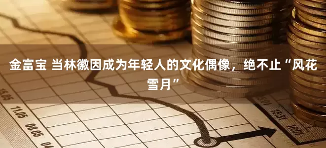 金富宝 当林徽因成为年轻人的文化偶像，绝不止“风花雪月”