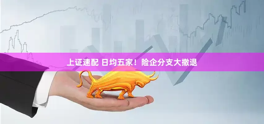 上证速配 日均五家！险企分支大撤退